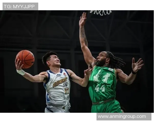 辽宁对浙江精彩比赛视频回顾与分析全场亮点不容错过