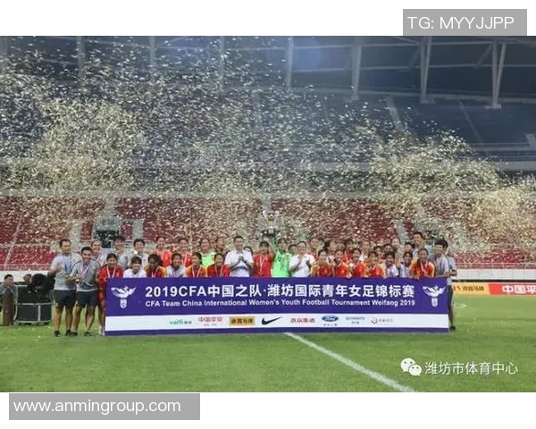 大连一方与沈阳的激烈对决展现足球魅力与城市精神的完美结合