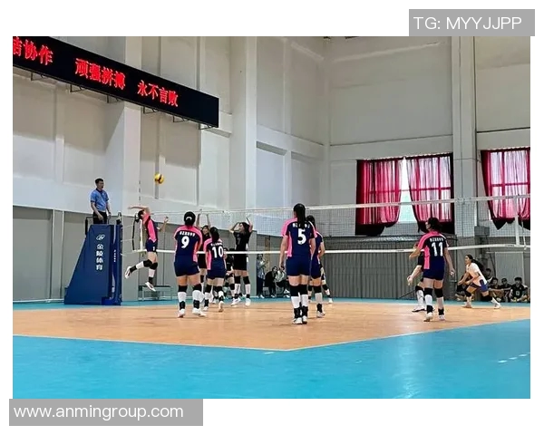 赵敏独家分享排球技巧与心得体会助你提升球技与团队配合能力