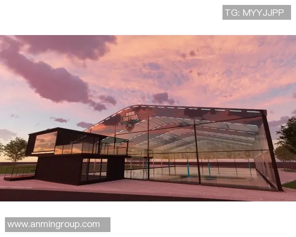 篮球明星豪宅揭秘球场之外的奢华生活与独特设计风格