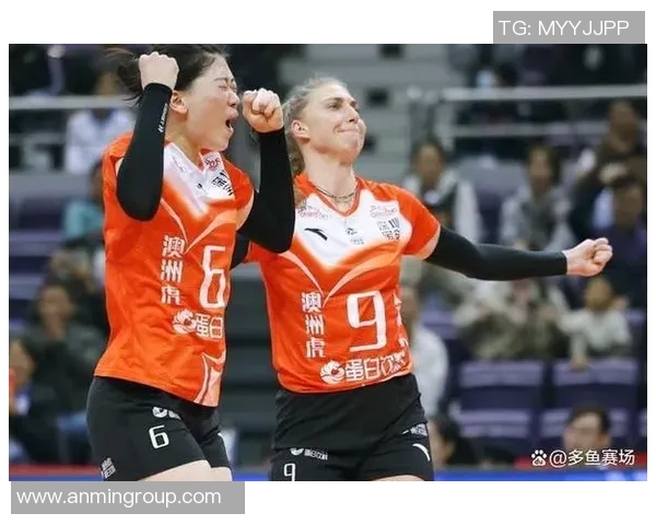 深圳排球队的崛起与发展：聚焦排球运动的力量与激情