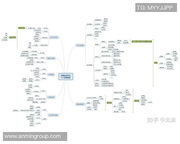 深入分析上海极限运动队的运营策略与市场发展路径