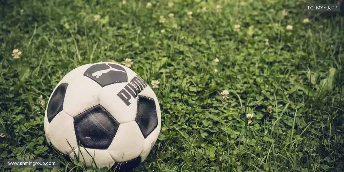 ⚽️热血赛事,一触即发!🏆点击解锁你的专属体育狂欢盛宴!